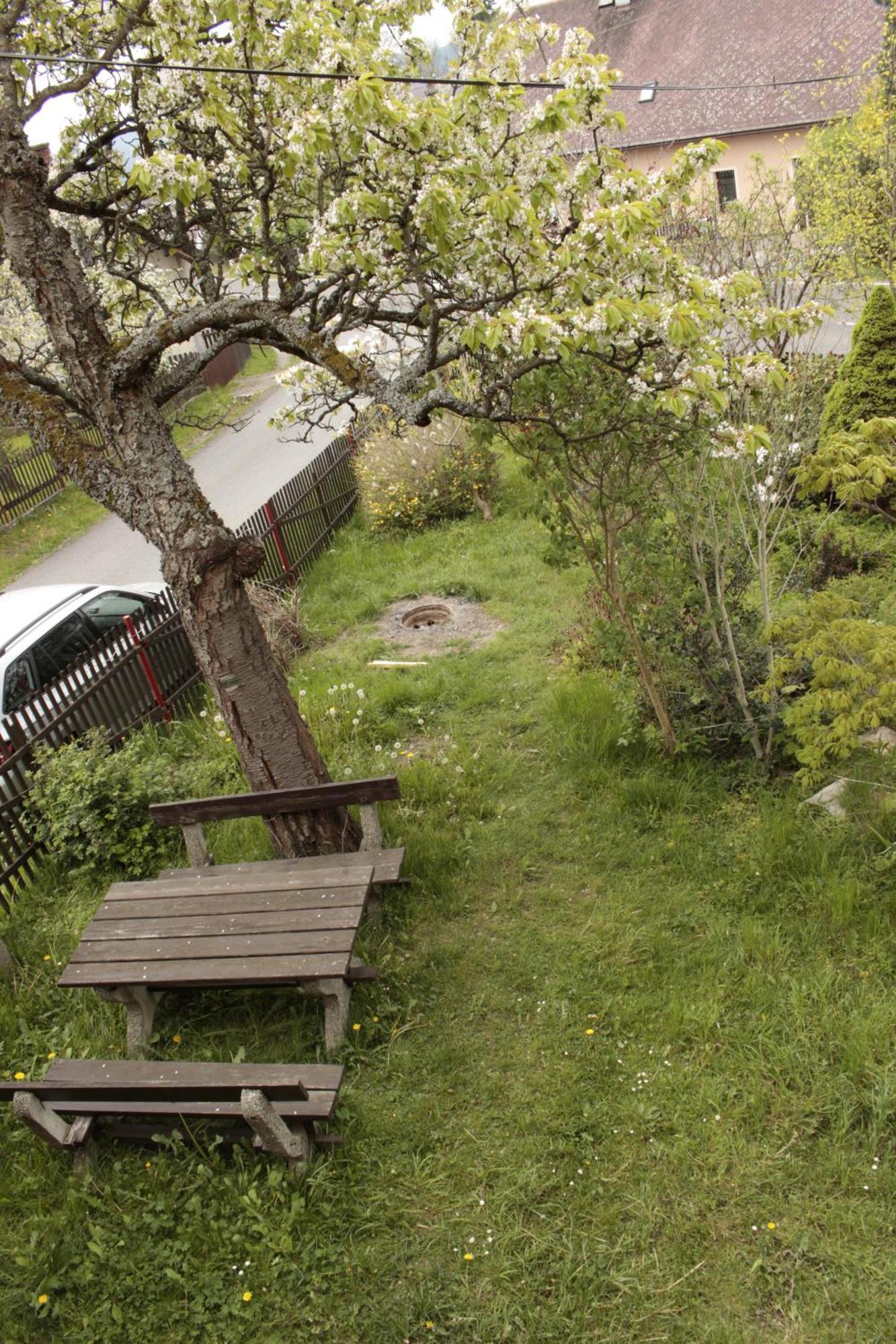 Penzion Hodky Svetla pod Jestedem Exteriér fotografie